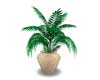 POTTED PLANT 5