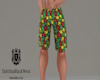 Rasta Shorts