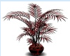 red plant
