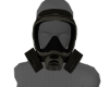 CM - 6M