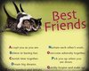 [SG] Best Friends