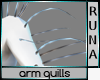 °R° Arm Quills