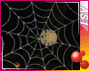 GR~2019 Spider Web Dance