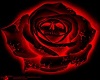 Blood Rose Club 2