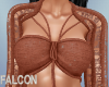Brown Top