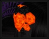 Orange/Black Hair Roses