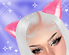 Fluffy Cat Pink