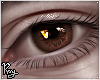 August -Dark Brown