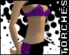 Full Bikini - pr leopard