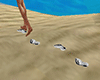 beach walk footprint