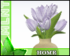 !Ⓜ lavender tulips