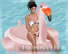 H. Flamingo Float
