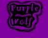 Purple wolf