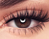 Real Brown Eyes