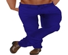 Perfect Fit Blue Pants