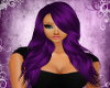 Kardashian Devine Purple