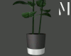 Black& Silver Pot Plant