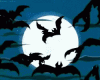 BAT Animated Bats