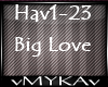 HAVANA-BIG LOVE