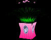 [FS] Pinky Plant