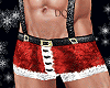 Santa Hot Pants 2 M
