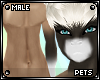 P | Castca | fur v2