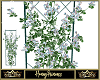 Blue Ice Trellis