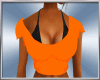 Orange Bikini + Top