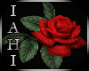 IAHI S & A Rose Frame #1
