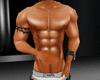 CBS Muscles XL