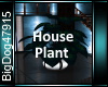 [BD]House Plant