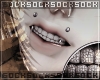 𝒔. grills