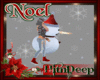 NOEL Skate with Snowman
