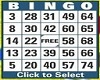 Bingo Card & Dauber