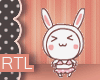 R| Bunny Sticker-1