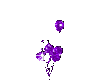 purple glitter balloons