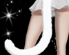 ! animated cat tail
