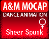 A&M Dance *SheerSpunk*