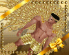 Gold Carnaval Asas