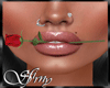 *S* Rose Lips