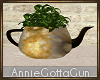 Plant in Tea Pot