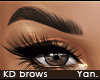 Y: KD brows | natural