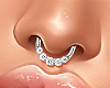 Icy Silver Septum Ring