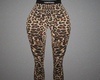 Ford Leopard Pattern