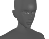 Highlighter
