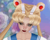 CK*Sailor Moon Hair