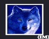 (IM) Blue Wolf