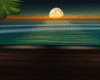 Beach Night