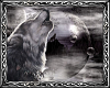~DD~ Dream Wolf Fantasy