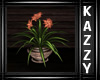 }KR{ Flowering Plant